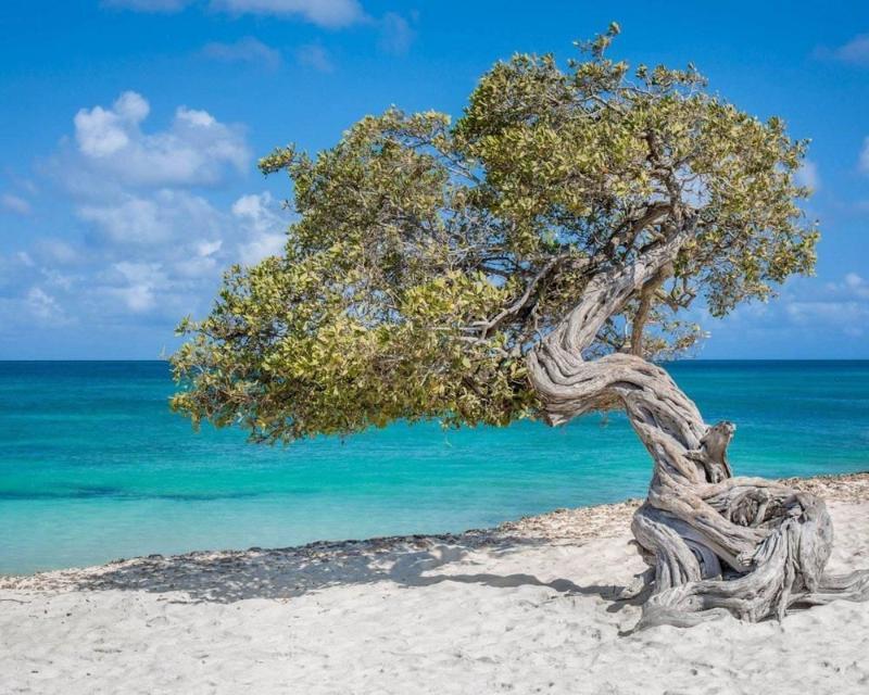Curacao Villa Park Fontein מראה חיצוני תמונה